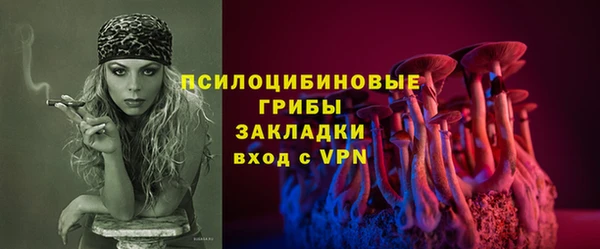 бутират Иннополис