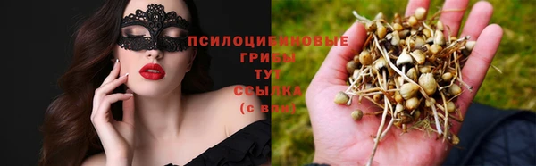 бутират Иннополис