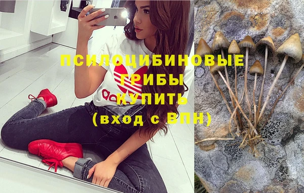 не бодяженный Инта