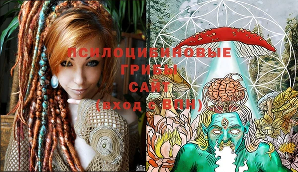 бутират Иннополис