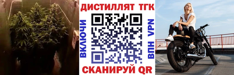 Дистиллят ТГК концентрат  Купить закладки  Лысково 